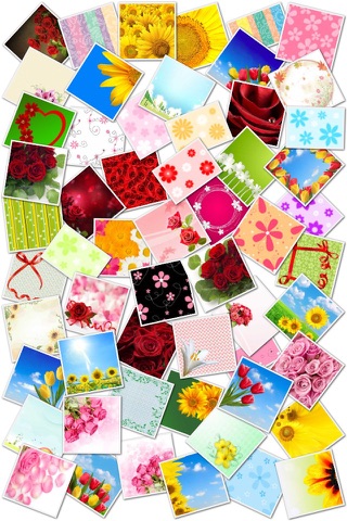 Flower Greeting Frames and Stickers screenshot 2