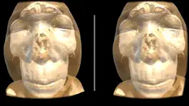 Game screenshot VR Body Guide apk