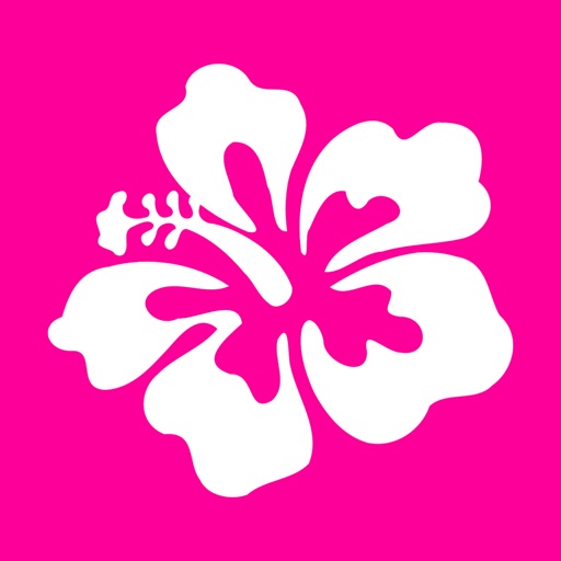 Hawaiian Words & Phrases! Hawaii Dictionary and Casual Language Translation Guide icon