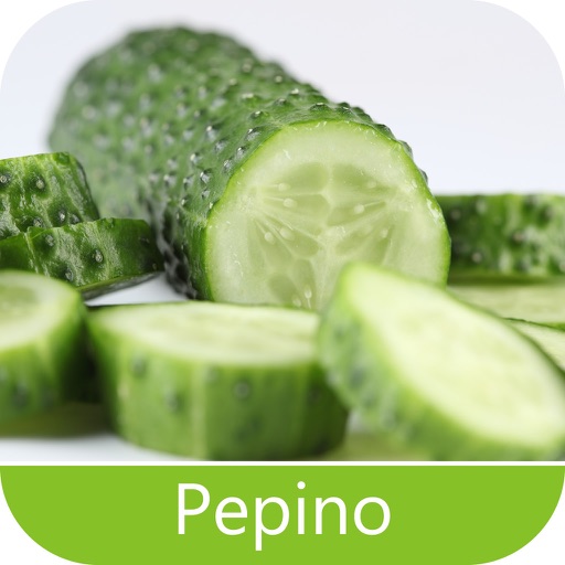 Pragas do Pepino