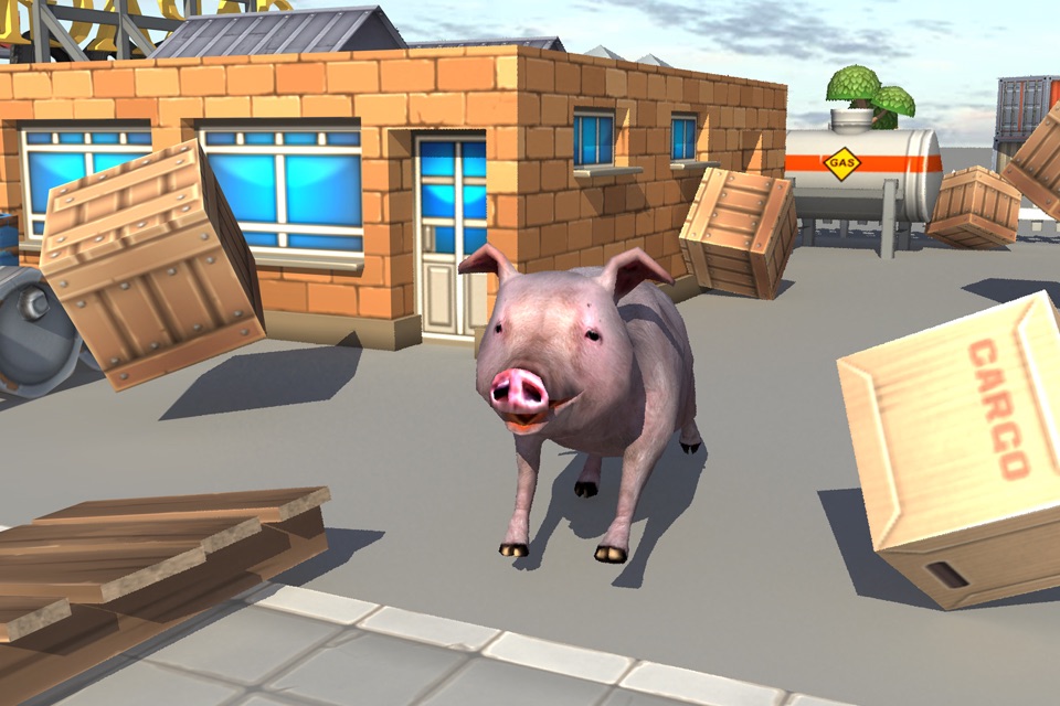 Crazy Piggies 3d Simulator  games screenshot 2