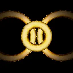 Maya 3D app icon