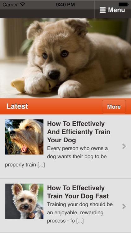 Dog Training Tips - Tips and Tricks For Training Your Dog