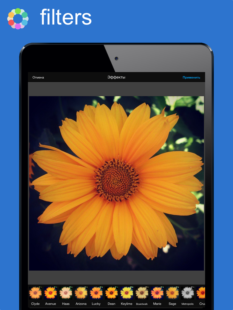 Colorae - Colorful Photo & Image Editor screenshot 6