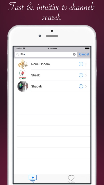 Syria TV - Syrian television & radio online screenshot-4