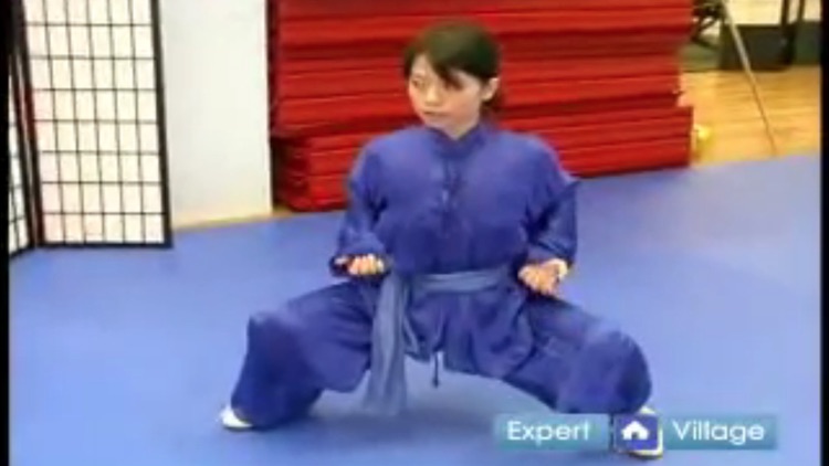 Wushu Training screenshot-3