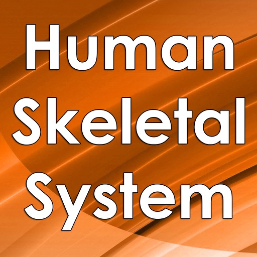 Human Skeletal System 4000 Flashcards Q&A icon