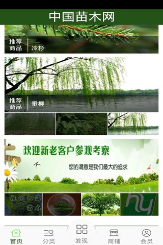 中国苗木网 screenshot 3