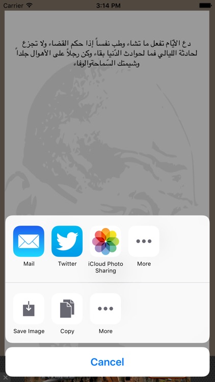 حكمتك اليومية