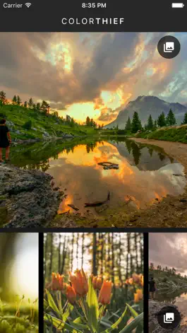 Game screenshot Color Thief mod apk