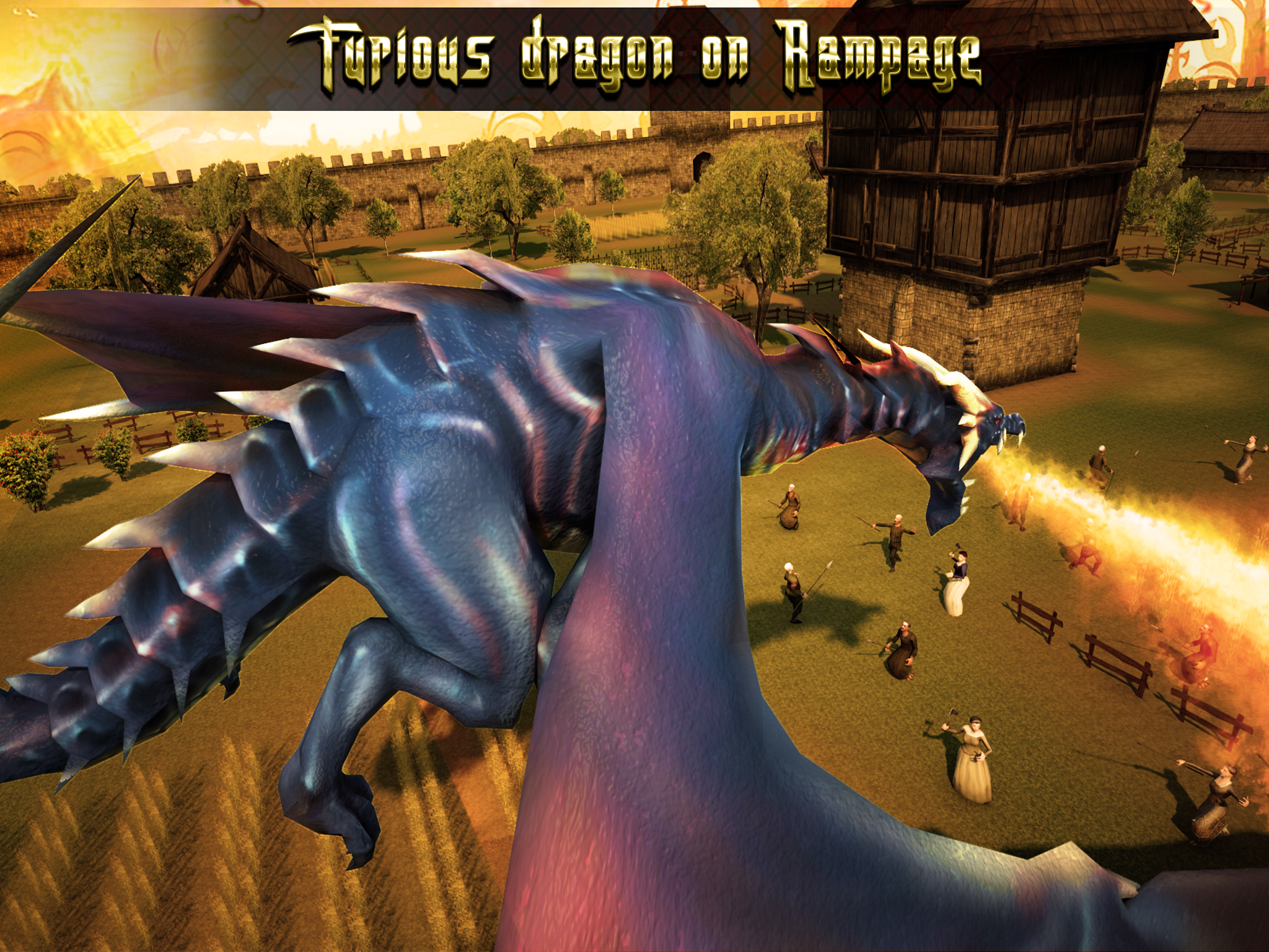 Warrior Dragon 2016 screenshot 7