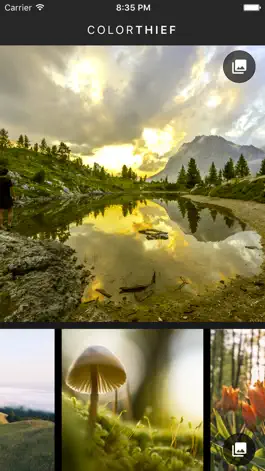 Game screenshot Color Thief hack