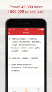 synonimy iphone screenshot 3