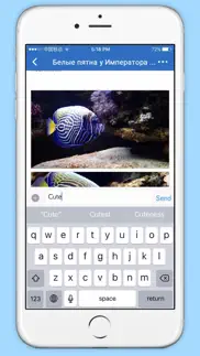 reefcentral.ru iphone resimleri 2