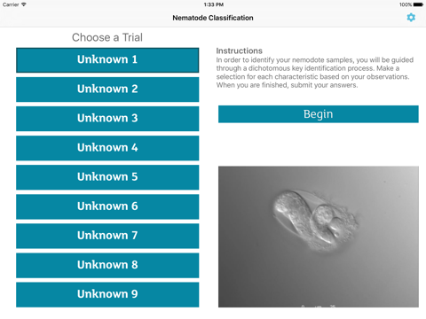 Nematode Classification screenshot 3