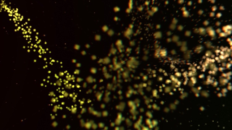 Mira by Active Theory