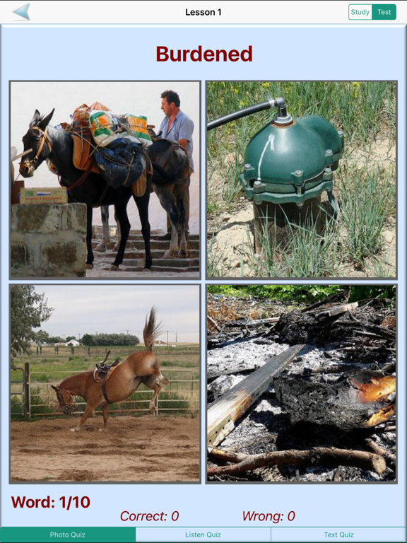 Screenshot #4 pour English Grammar With Photos (Learning & Practice)