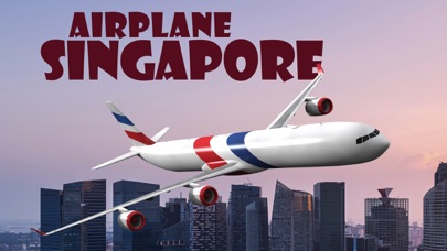 Airplane Singaporeのおすすめ画像1