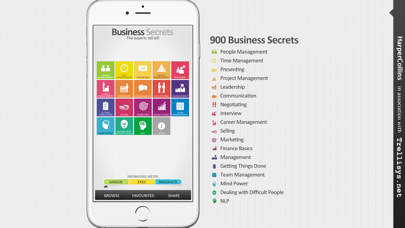 Business Secrets Screenshot