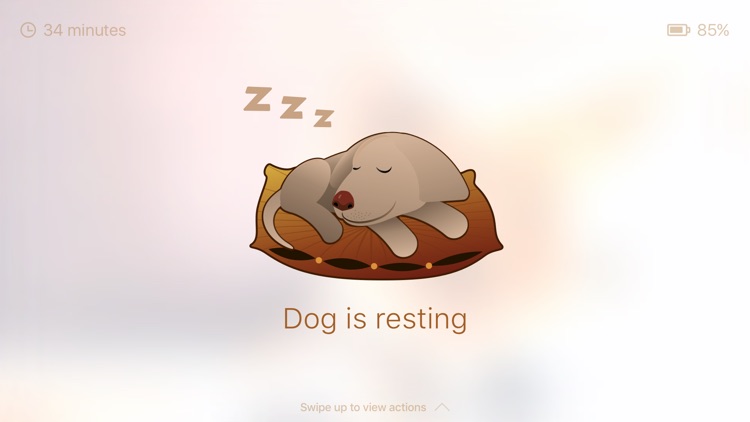 Dog Monitor