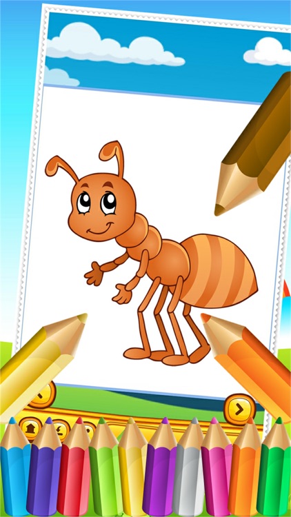Butterfly Fairy and Bugs Coloring Book Drawing for Kid Games screenshot-4