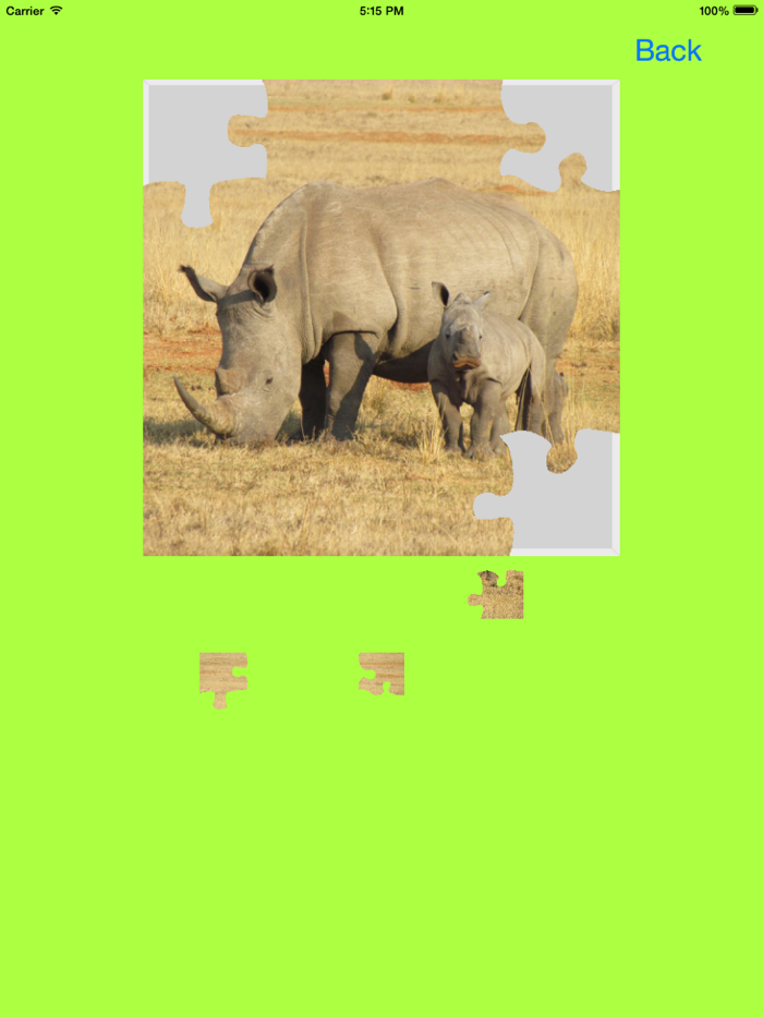 Safari Animals Jigsaw Puzzles