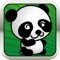 A little lost panda runs in the jungle and cannot not find his way between palm trees, bamboo and ruins