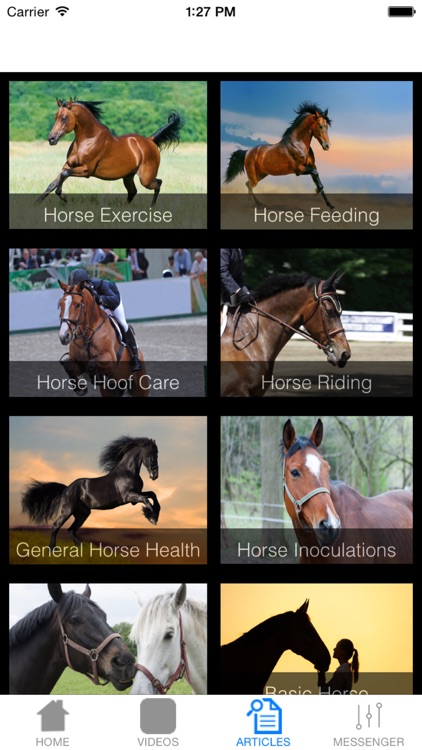 Basic Horse Care