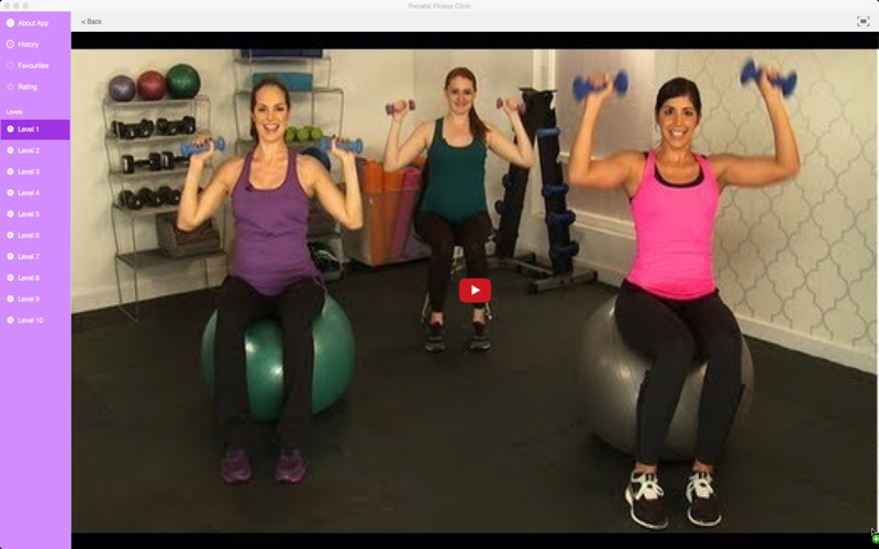 Prenatal Fitness Clinic thumbnail 3