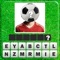 Guess the football player - Football Players Quiz 2016