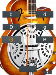 dobro tuner simple ipad images 1