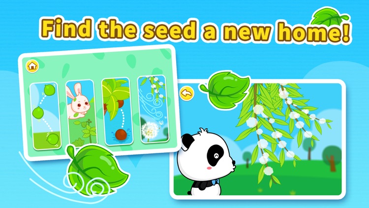 Magical Seeds