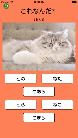 わかるかな？よめるかな？ひらがなクイズ！のおすすめ画像5