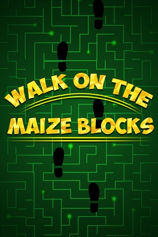 Walk on Maze Blocks Pro - cool tile running game screenshot 3