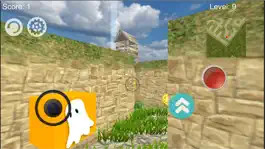 Game screenshot Secret Maze 3D apk