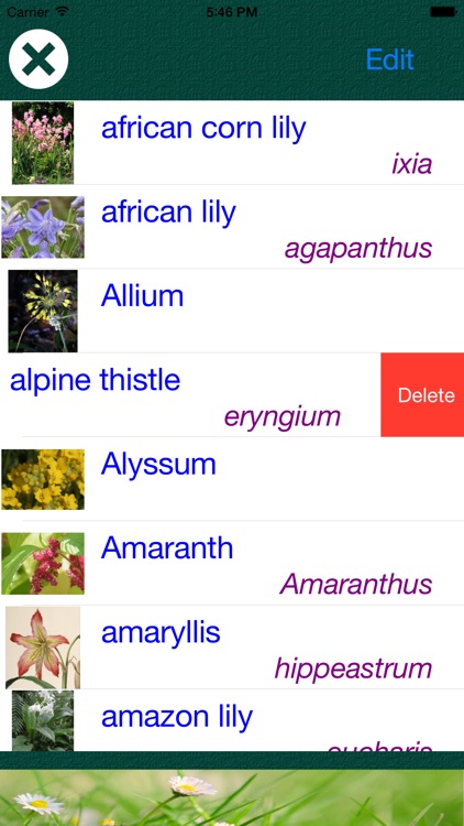 Flower Dictionary All Information About A Z Common Species Of Flower Dictionary All Information About A Z Common Species Of