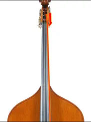 double bass tuner simple ipad images 3