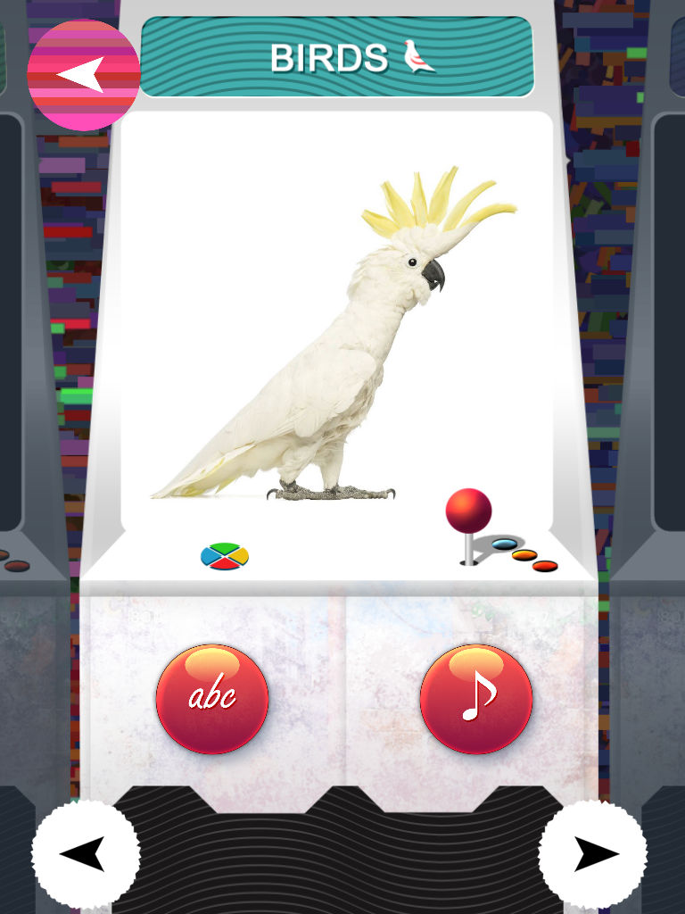 TOY - ZOO Animals And Birds Flash Cards - Free PreSchool Educational Learning Games For Toddlers And Kindergarten Babies screenshot 4