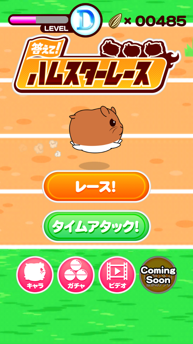 Lets Answer Hamster Race