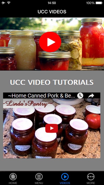 Top 15 Lessons About Homemade Canning & Preserved Recipes to Learn Before You Start!