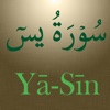 Surah Ya-Sin (سورة يس) - iPadアプリ