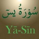 Surah Ya-Sin (سورة يس) app icon - Reference app for iPhone