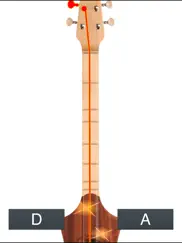 dulcimer tuner simple ipad images 3
