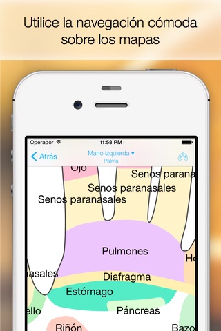 Massage Maps • Reflexology screenshot 3