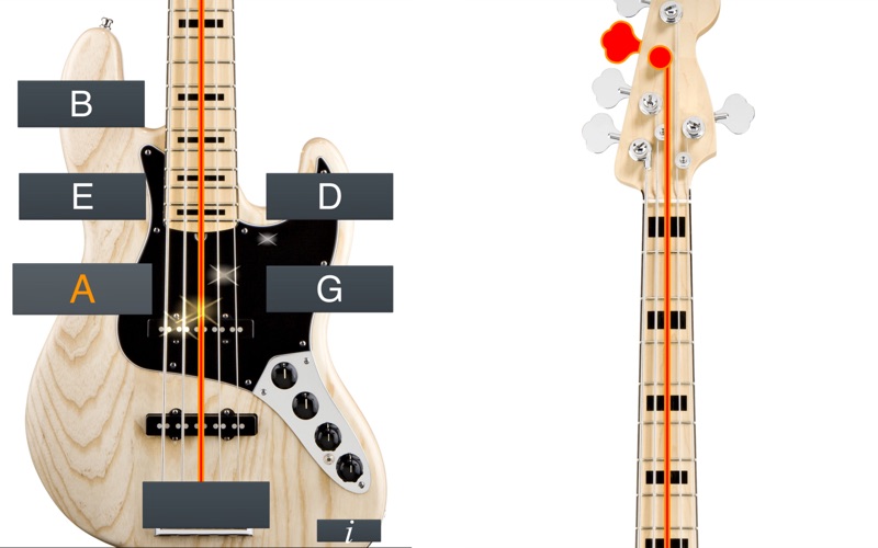 bass tuner simple problems & solutions and troubleshooting guide - 2