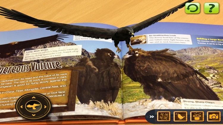 NMBBIRD3D - Nanmeebooks