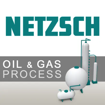 NETZSCH Oil & Gas Processes Cheats