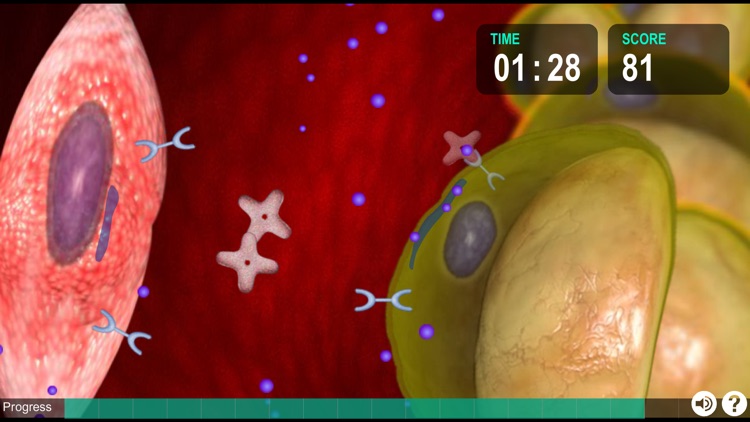 Help Shrink Belly Fat