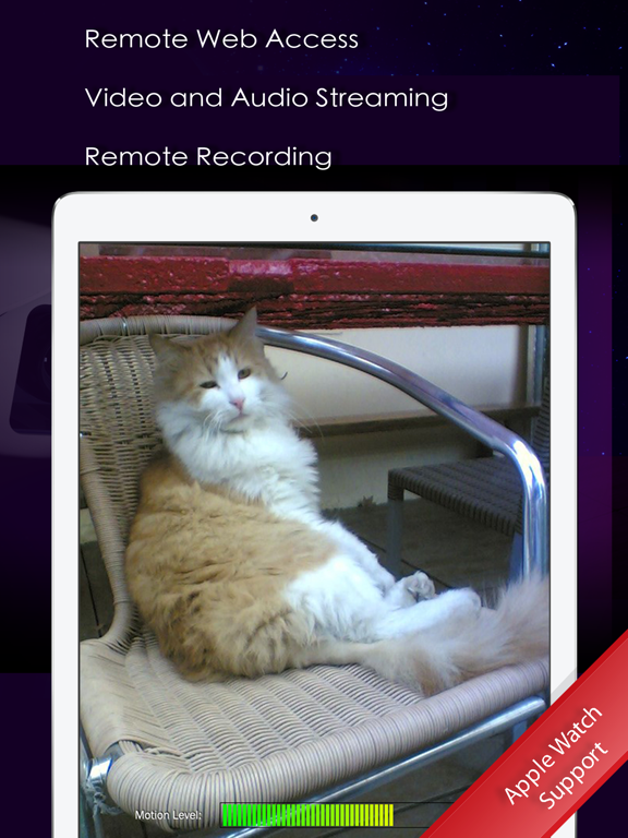Screenshot #4 pour IP Cam