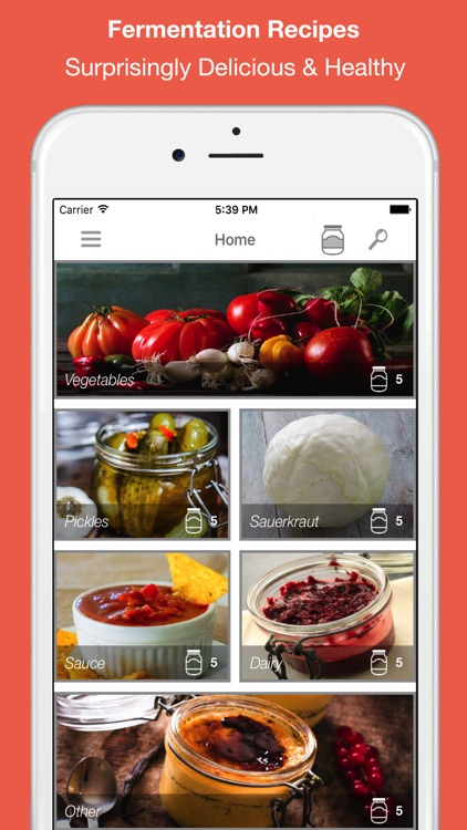 Food Fermentation & Pickling Recipes